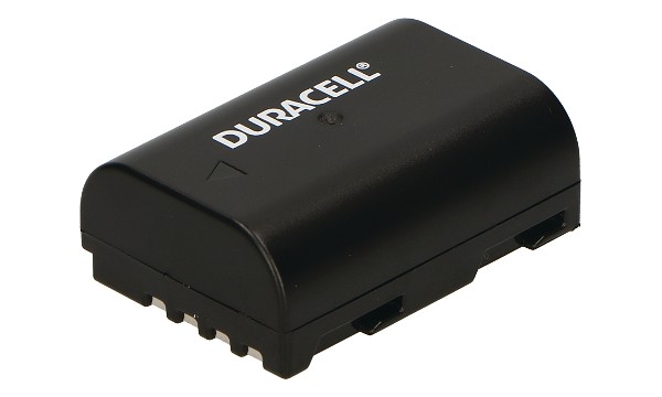 DMW-BLF19E Bateria (2 Células)